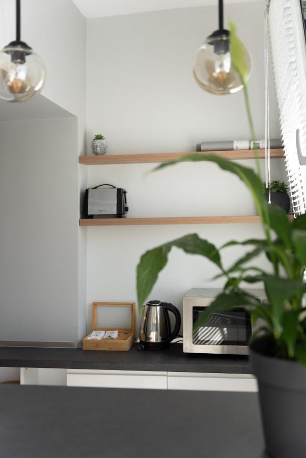 City Center Apartment ティラナ エクステリア 写真
